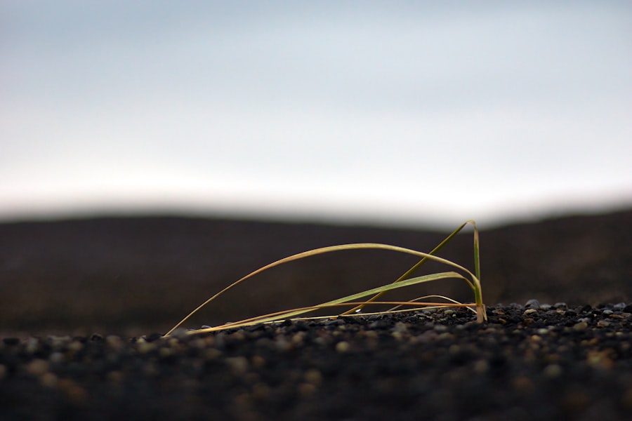 ansoff growth matrix